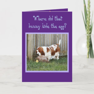 Funny Easter Card met Basset Hound, Bunny & Egg Feestdagen Kaart
