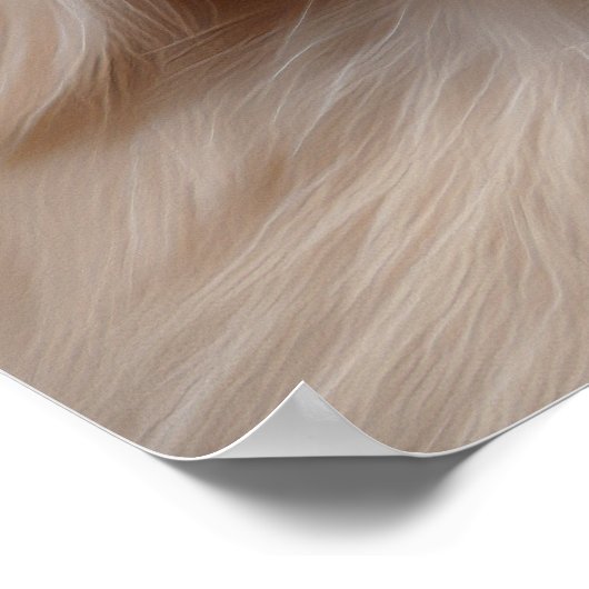 Funny Easter Chicken Bunny Costume Poster (Hoek)