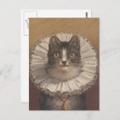Funny  Edwardian Cat Briefkaart (Voorkant / Achterkant)