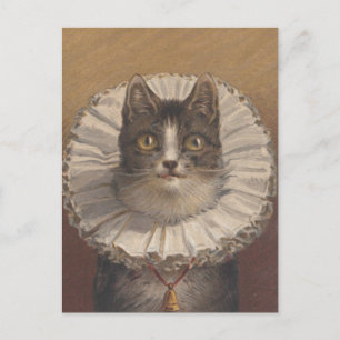Funny  Edwardian Cat Briefkaart