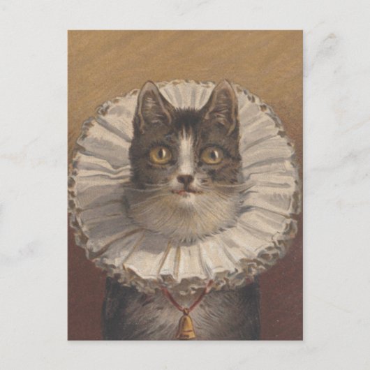 Funny  Edwardian Cat Briefkaart (Voorkant)