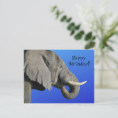 Funny Elephant Age Irrelevant Blue Happy Birthday Briefkaart (Staand voorkant)