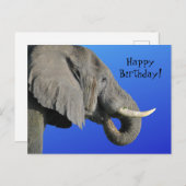 Funny Elephant Age Irrelevant Blue Happy Birthday Briefkaart (Voorkant / Achterkant)
