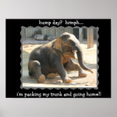 Funny Elephant Hump Day Poster (Hyph!!) (Voorkant)
