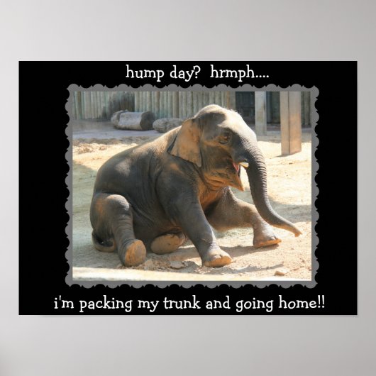 Funny Elephant Hump Day Poster (Hyph!!) (Voorkant)