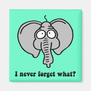 Funny elephant magneet
