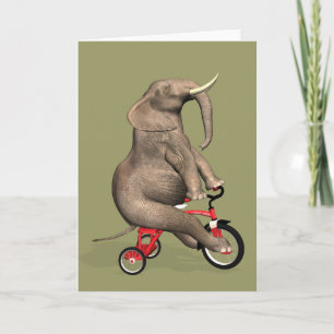 Funny Elephant Riding A Tricycle Kaart