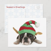 Funny Elf Briefkaart (Voorkant / Achterkant)