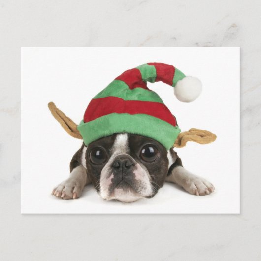 Funny Elf Briefkaart (Voorkant)