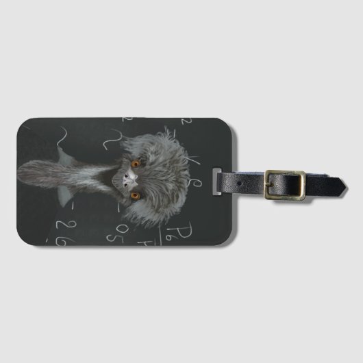 Funny Emu Einstein Bagagelabel (Voorkant (horizontaal))