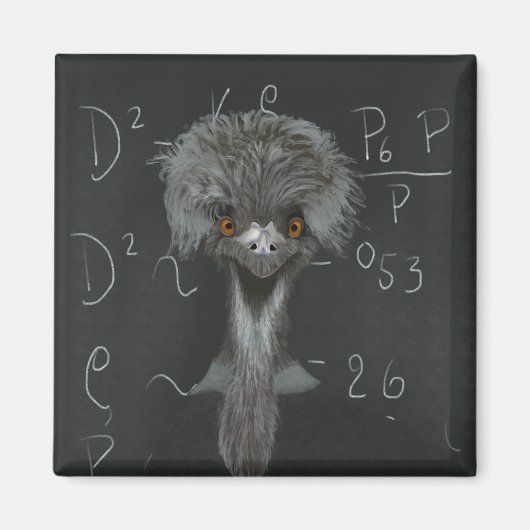 Funny Emu Einstein Magneet (Voorkant)