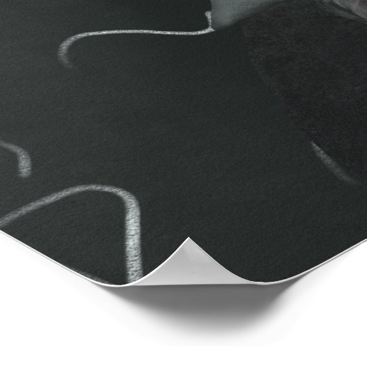 Funny Emu Einstein Poster (Hoek)