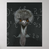 Funny Emu Einstein Poster (Voorkant)