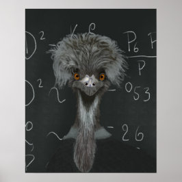 Funny Emu Einstein Poster