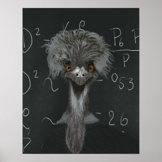 Funny Emu Einstein Poster (Voorkant)