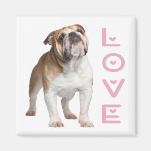 Funny English Bulldog Mam Love Puppy Dog Magneet