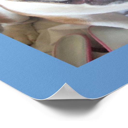 Funny English Bulldog Poster (Hoek)