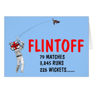 Funny English cricket