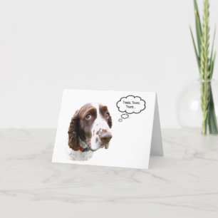 Funny English Springer Spaniel Treat Card Kaart