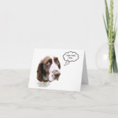 Funny English Springer Spaniel Treat Card Kaart (Voorkant)