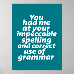 Funny English Teacher Humor Correct gebruik Gramma Poster