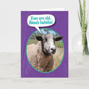 Funny Ewe Old Sheep Shot Birthday Kaart
