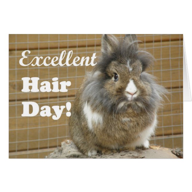 Funny "Excellent Hair Day" voor konijn (Voorkant Horizontaal)