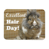 Funny "Excellent Hair Day" voor konijn Magneet (Horizontaal)