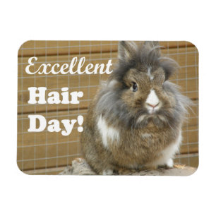 Funny "Excellent Hair Day" voor konijn Magneet