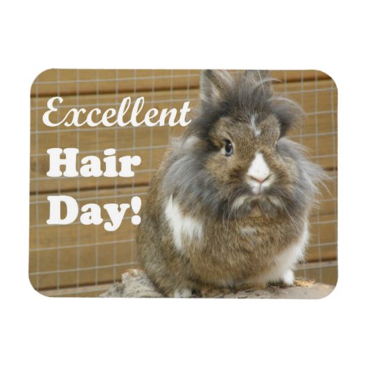 Funny "Excellent Hair Day" voor konijn Magneet (Horizontaal)