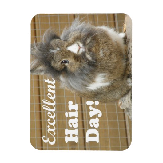 Funny "Excellent Hair Day" voor konijn Magneet (Verticaal)