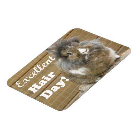 Funny "Excellent Hair Day" voor konijn Magneet (Linkerzijde)