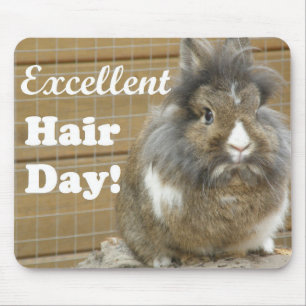 Funny "Excellent Hair Day" voor konijn Muismat