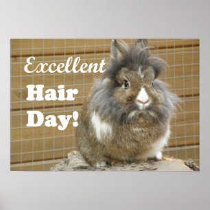Funny "Excellent Hair Day" voor konijn Poster