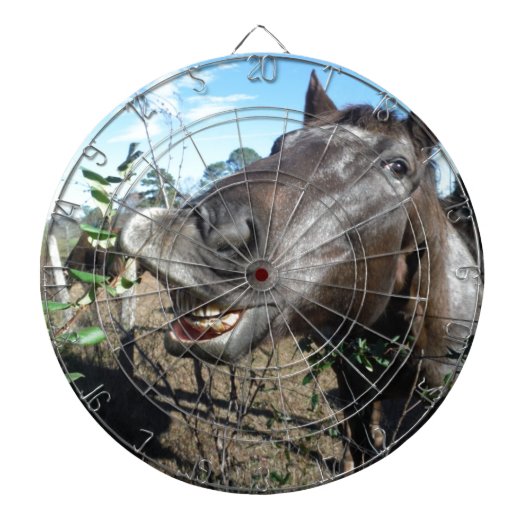 Funny Face brown paard Dartbord (Voorkant)
