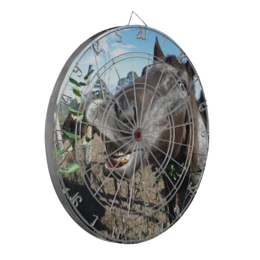 Funny Face brown paard Dartbord (Voorkant Links)