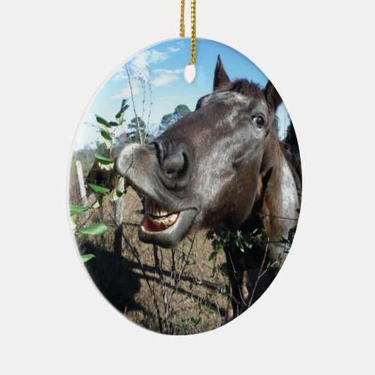 Funny Face brown paard Keramisch Ornament (Rechts)