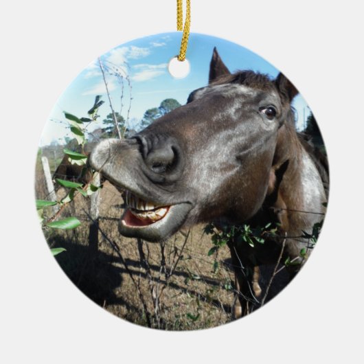 Funny Face brown paard Keramisch Ornament (Voorkant)