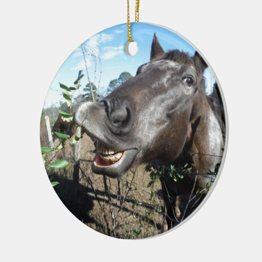 Funny Face brown paard Keramisch Ornament (Links)