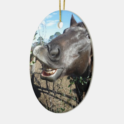 Funny Face brown paard Keramisch Ornament (Links)