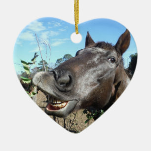 Funny Face brown paard Keramisch Ornament