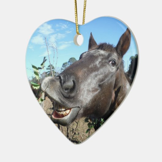 Funny Face brown paard Keramisch Ornament (Links)