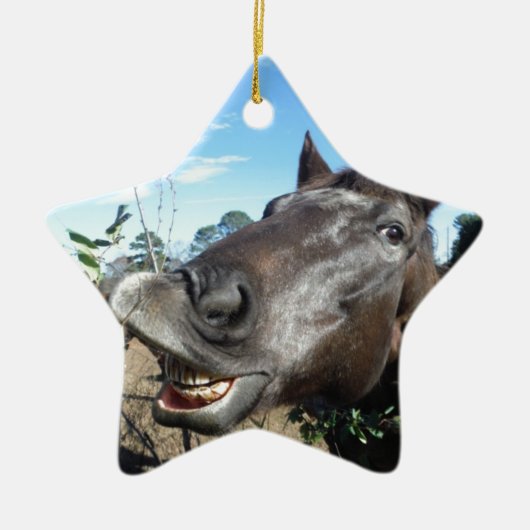 Funny Face brown paard Keramisch Ornament (Voorkant)
