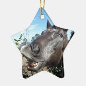 Funny Face brown paard Keramisch Ornament (Links)