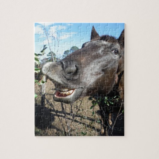 Funny Face brown paard Legpuzzel (Verticaal)