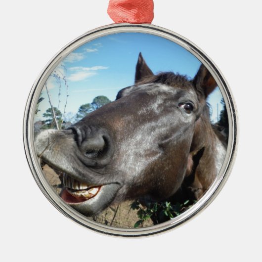 Funny Face brown paard Metalen Ornament (Voorkant)