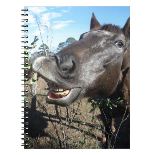 Funny Face brown paard Notitieboek (Voorkant)