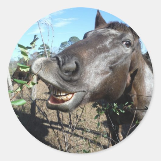 Funny Face brown paard Ronde Sticker (Voorkant)