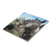 Funny Face brown paard Tegeltje (Zijkant)