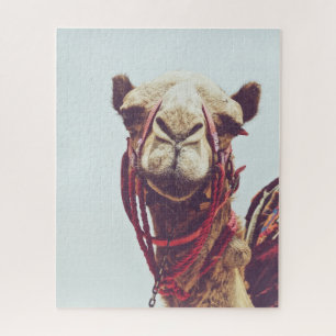 Funny Face Foto van een Sassy Cute Llama Legpuzzel